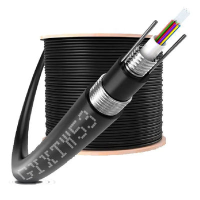 गुणवत्ता  Central Tube GYXTW Fiber Optic Cable 4 6 8 12 24 Core OD 6mm Outdoor Single Mode कारखाना