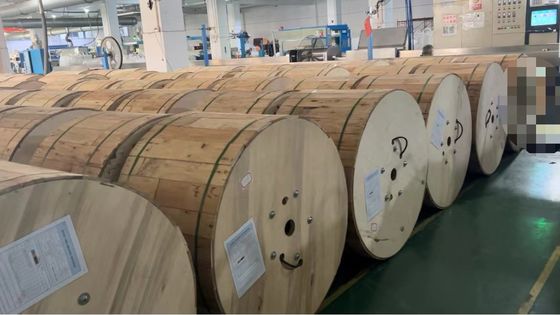 12 24 कोर सिंगल बख्तरबंद डबल जैकेट लौ retardant MGTSV खनन फाइबर ऑप्टिक केबल