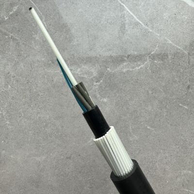 GYFTY83 चूहा-रोधी बख़्तरबंद FRP शक्ति सदस्य 12 24 48 कोर फाइबर ऑप्टिक केबल