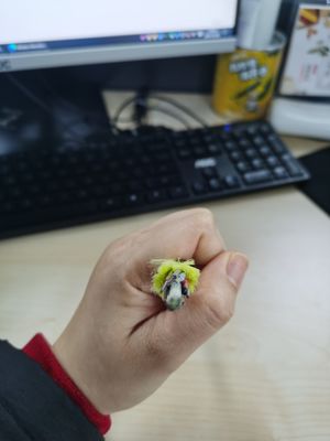 नॉन मेटैलिक सिंगल जैकेट ADSS फाइबर ऑप्टिक केबल 6/12/24/48/96 कोर 100/200m स्पैन G652D